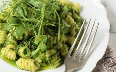 Gnocchetti zöldborsócsíra pestoval