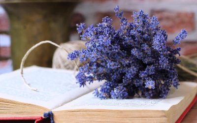 Ezer arcú levendula