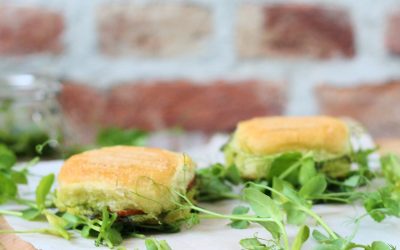 Panini