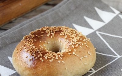 Bagel