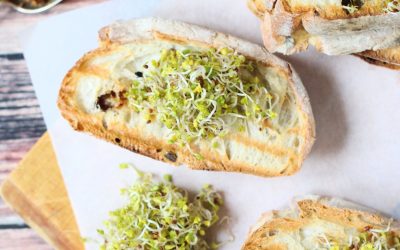 Melegszendvics variációk